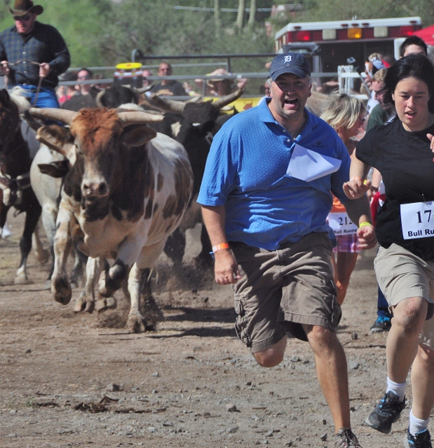 bull runners